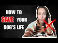 How to STOP a dog attack - the ONLY WAY that ALWAYS WORKS