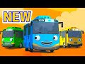 Tayo the Little Bus 🚌 Picnic, Hiccups &amp; a Magic Show! | Toon Mania – Happy Kids