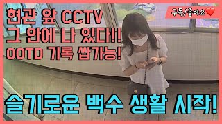 CCTV 속 안에 나 있다! 또 다시 백수 생활 시작! (w.캡스홈 도어가드)