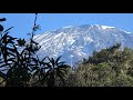 Day 6, Goodbye Kilimanjaro, till next time