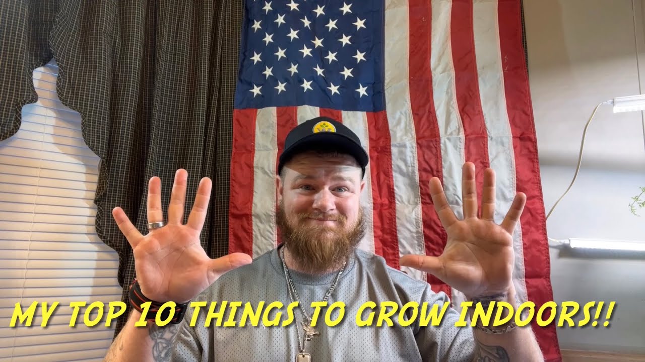 Top 10 varieties to grow indoors!! My top 10 picks for indoor growing for beginners!!