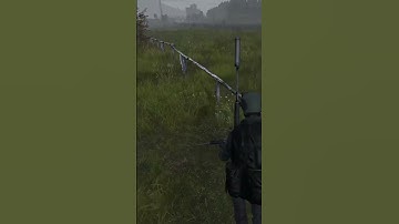 DayZ Car Physics be like...