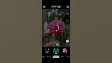 Lmc8.4 R14-17 Best Human Portrait & Nature Config💥😳 #gcam #gcamrealme #lmc #lmc8 #camera #viral