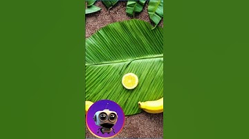 New breakthrough in neuroscience Japanese technology uses AI to generate images from brain activity