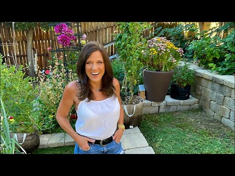 Video: Garden To-Do List: Chores For A Northern Rockies Garden In August