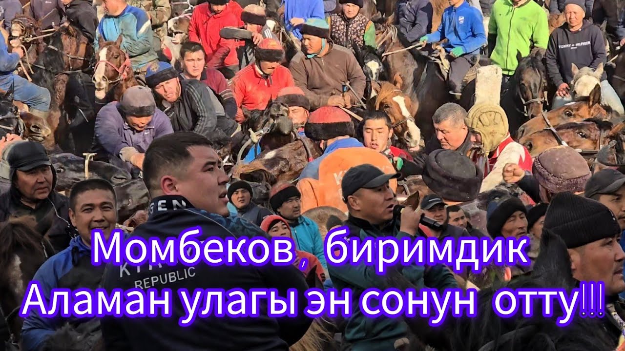 Момбеков биримдик аламан улагы эн сонун отту #акырыкыкабарлар#жанылыктар #horse  #жылкыбазар#тикток