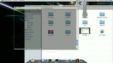 Wind U100 + Ubuntu 8.10 + Compiz