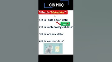 What is Metadata | Metadata in GIS #GIS #SHORTS