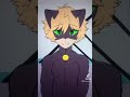 What happened to chatnoir after chatblanc  miraculous ladybug  animaticskit