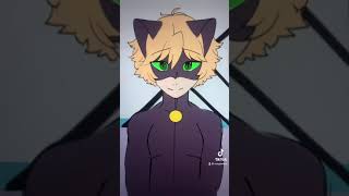 What happened to Chatnoir after Chatblanc? | MIRACULOUS LADYBUG | animatic/skit