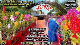 വീട്ടുമുറ്റം പൂങ്കാവനമാക്കിയ ആനി എന്ന വീട്ടമ്മ..കണ്ടാൽ കണ്ണുതള്ളും😳|Kerala‘s Biggest Orchid Home by ഒരു അഡാർ pets story  140,744 views 1 year ago 45 minutes