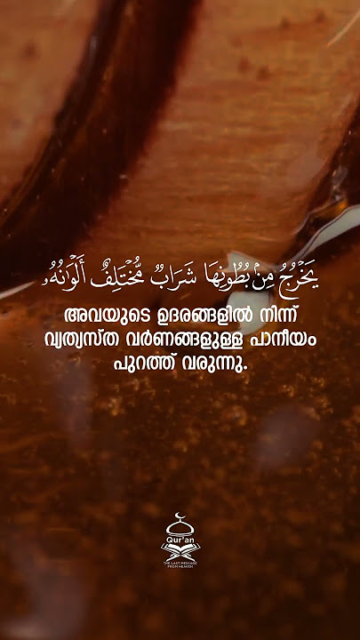Surah An-Nahl | 68-69 | Mishary Rashid Al-Afasy #quranmalayalam #malayalamquran #quran #quransurah