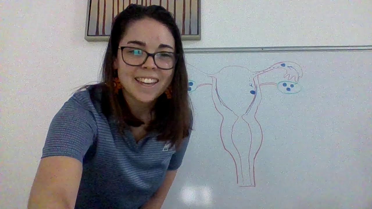 Reproductive System: Fertilization