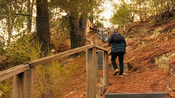 Introducing bento – Portable Sampling Production Lab