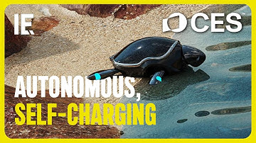 AI in de zeeën: mariene monitoring schildpadrobot