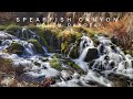 A Scenic Drive Through Spearfish Canyon In South Dakota | RV Life