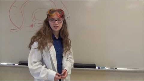 Brain Awareness Video Contest: The Nose Knows: Smell, Memory, and Emotion