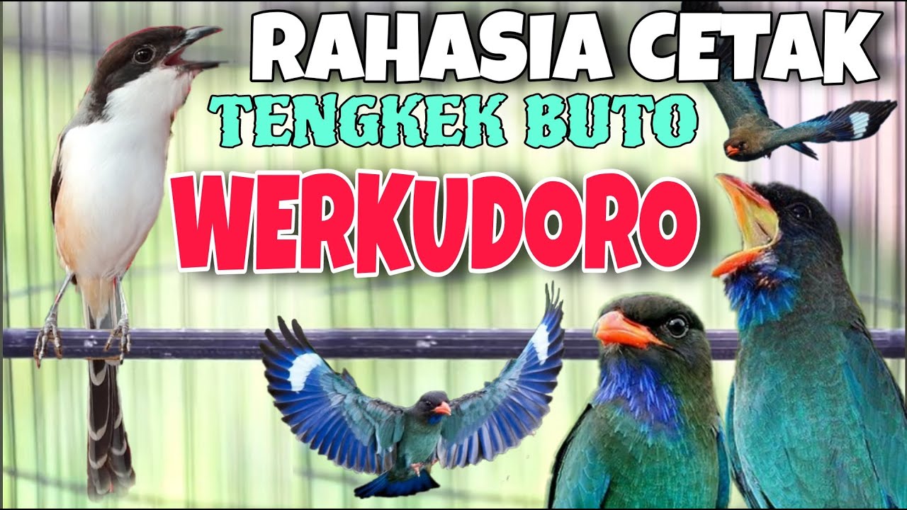 MASTERAN CENDET JUARA TENGKEK BUTO WERKUDORO  RAHASIA CETAK CENDET MATERI MEWAH