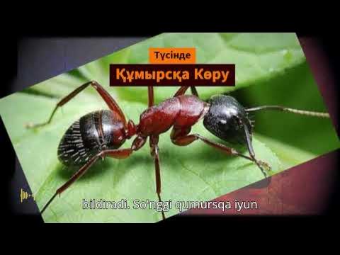 Порно жас емізік ескі