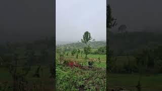 😍🏔♥️ #uttarakhand #uttarakhandweather #pithoragarhdistrict #pahad #trendingshorts #trend