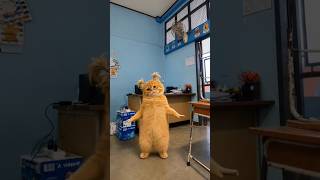 Oyen joget #shorts #trendingshorts #shortvideo #funny #fypシ゚viral #viralvideo #kucing #catvideos