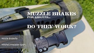 Airgun Muzzle Brakes improve accuracy Tested on RTI Mora and Prophet pcp airguns.