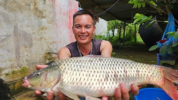 Gỏi cá/Anh 1985 Vlogs