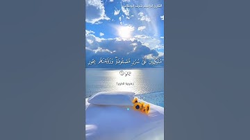 مُتَّكِئِينَ عَلَىٰ سُرُرٍ مَّصْفُوفَةٍ ۖ وَزَوَّجْنَاهُم بِحُورٍ عِينٍ / القارئ ابراهيم شرف ابوطالب