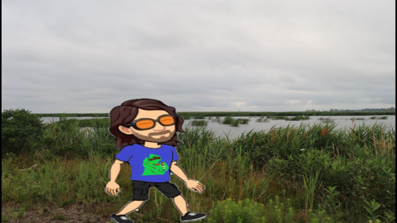 Early morning hike at Quanicassee Wildlife Area in Essexville Mi. 