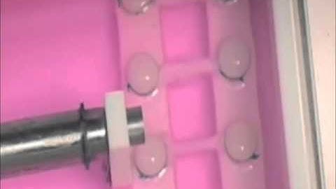 Scaffolding & bioreactor