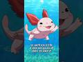 #viralfacts #facts #fypシ #interestingfacts #amazingfacts #reels #animation #ytshorts #funny #shorts