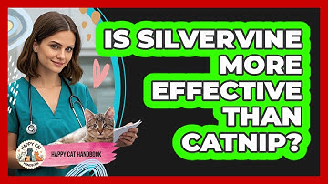 Is Silvervine More Effective Than Catnip?