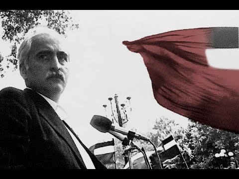 ჟურნალისტური გამოძიება