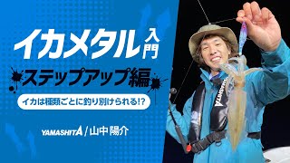 プロが教えるイカメタルのテクニック～イカは誘い方次第で釣り分けることができる！？～