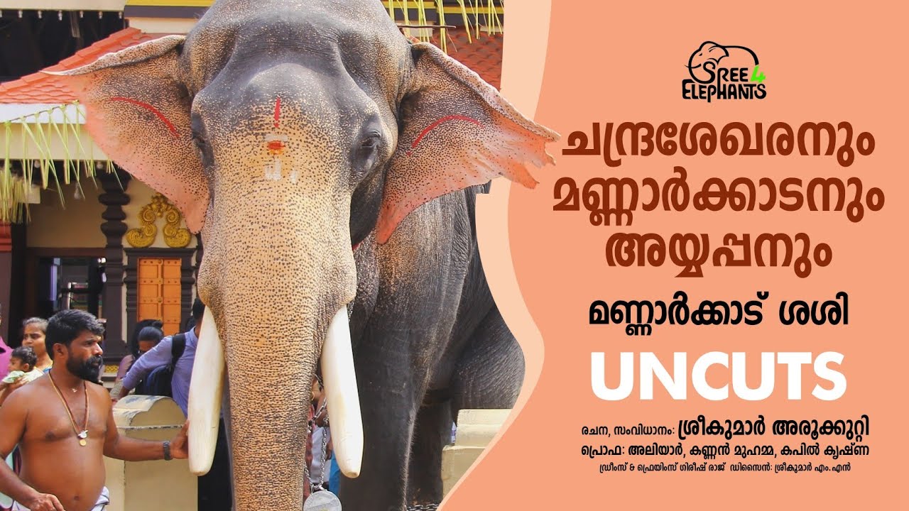 ആനപ്പണി തന്നെ മതിയാക്കാം എന്നാണ് ആദ്യം വിചാരിച്ചത്...?