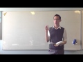 Stanford Prison Experiment Insights