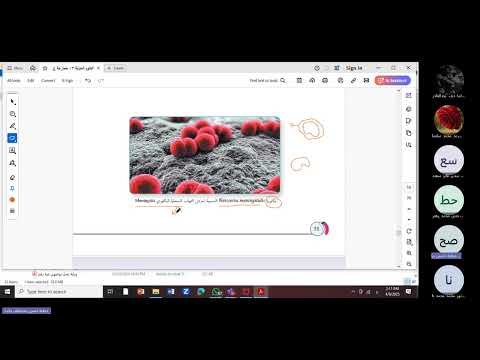 البكتيريا حصة احياء رقم 34