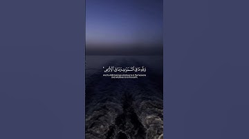Surah An-Nisa 131-134 سورة النساء      #quraniv #quran
