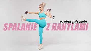 Jaké jsou spalovací reakce ethanolu?