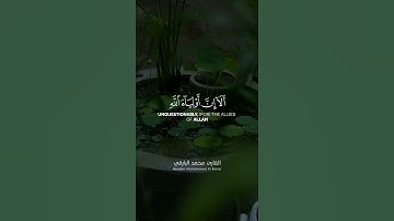 القارئ : محمد يحيى البارقي 💙
