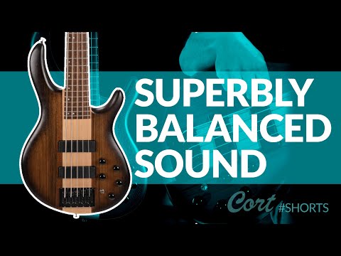 Cort Artisan C5 Plus OVMH | Indoor Sunset by Vinny Svoboda