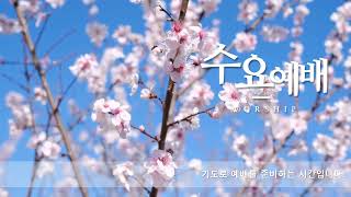 예배 오프닝 영상 52 (인트로 영상/시작영상)