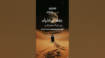 أفضل تلاوة قرآن مؤثرة | سورة الشورى  QuranVibes3