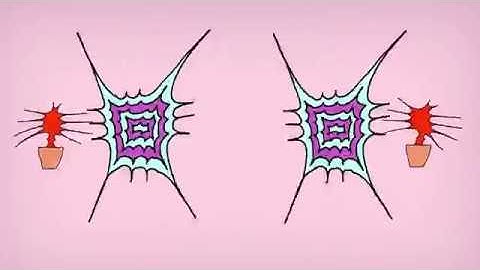 BUILDING PERMIT - #2