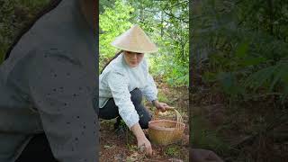 雨后的云南山里，野菜吸饱雨水，木耳和香蕈从枯木冒出。想看看这一口山野鲜味，记得观看本周视频【滇西小哥】#reelschallenge #food #cooking #dianxixiaoge#滇西小哥