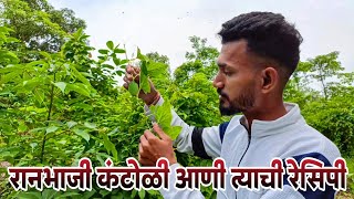 रनभज कटळ आण तयच रसप Kokara Spiny Gaurad Recipe Kantola Recipe