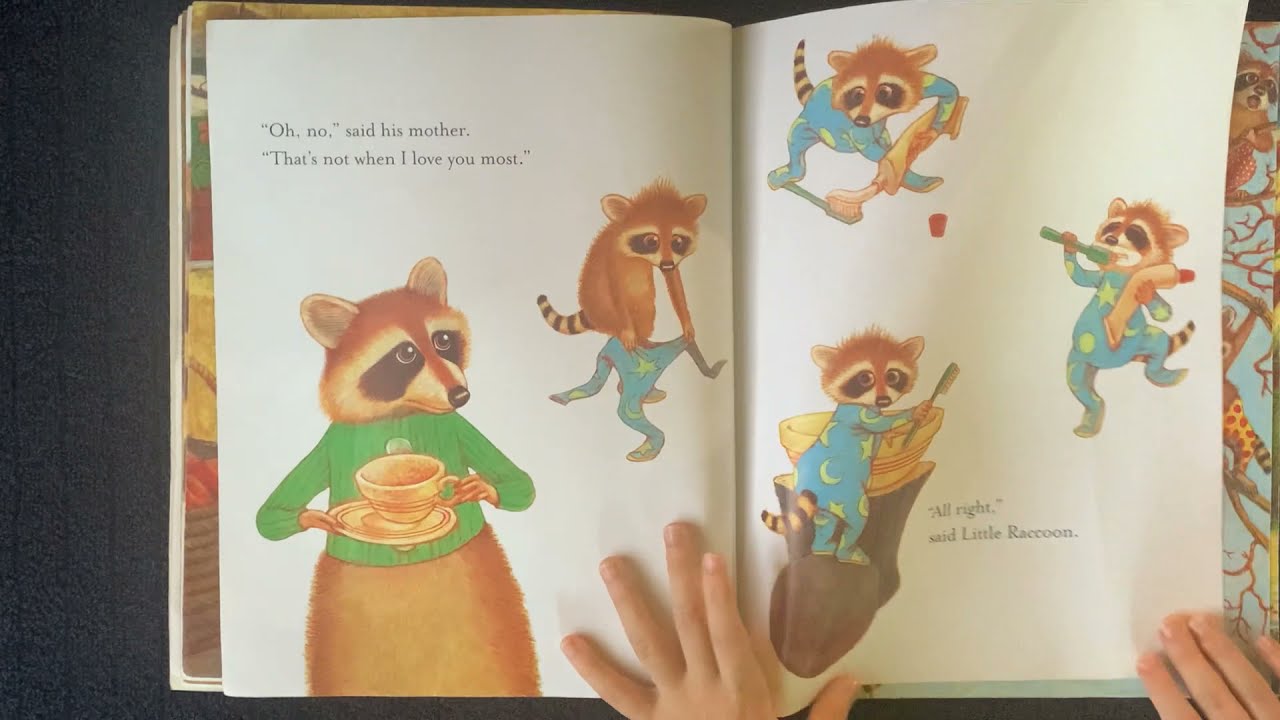 Little Raccoon's Big Question by Miriam Schlein AR level 1.9 Quiz # 77527