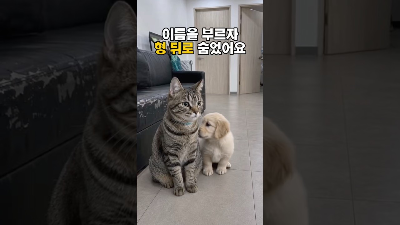 병원에서 이름을 부르자 형이 먼저 나섰습니다 When His Name Was Called, Big Brother Stepped Forward First