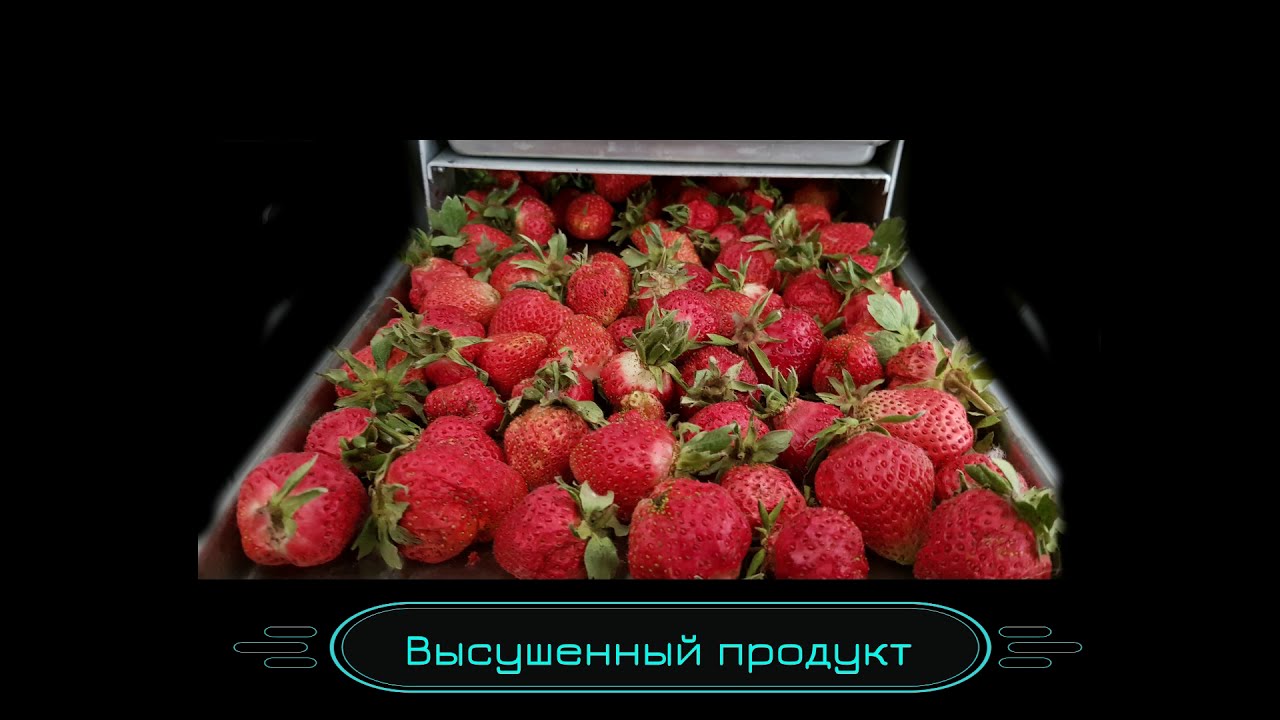 ЛИОФИЛИЗАЦИЯ-КАК ЭТО РАБОТАЕТ - YouTube