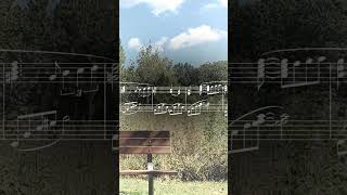 Smile as Warm as Summer #piano